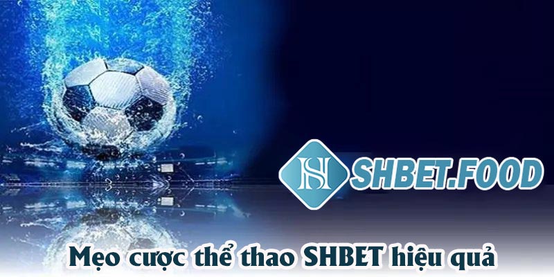 Mẹo cược thể thao Shbet