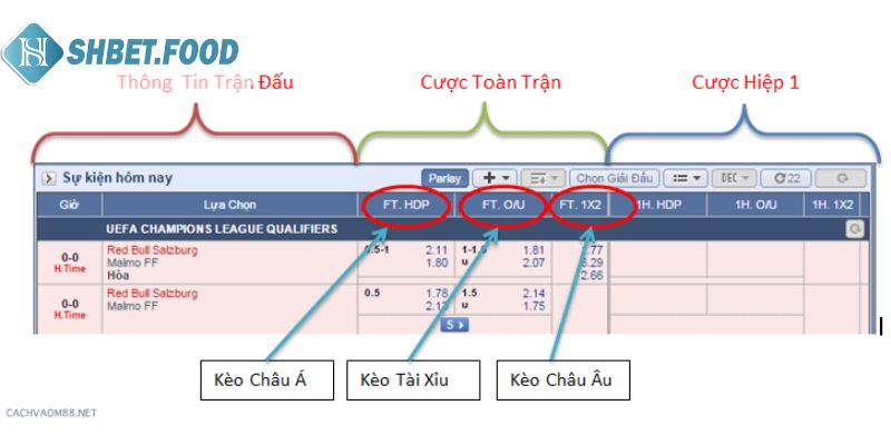 Hướng dẫn cách đọc bảng tỷ lệ kèo bóng đá chi tiết cho người mới